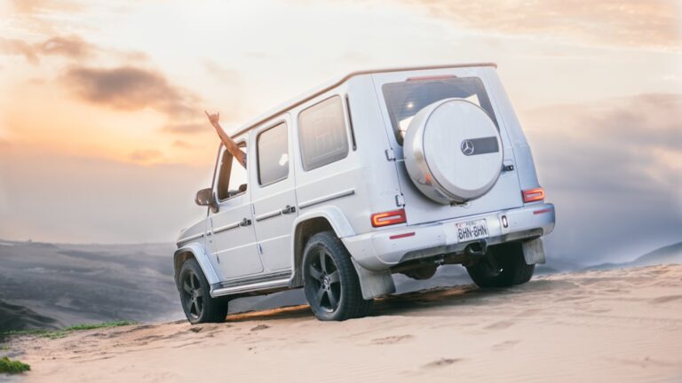 Revolutionizing Transportation with Fenix Camiones Photo Truck fleet