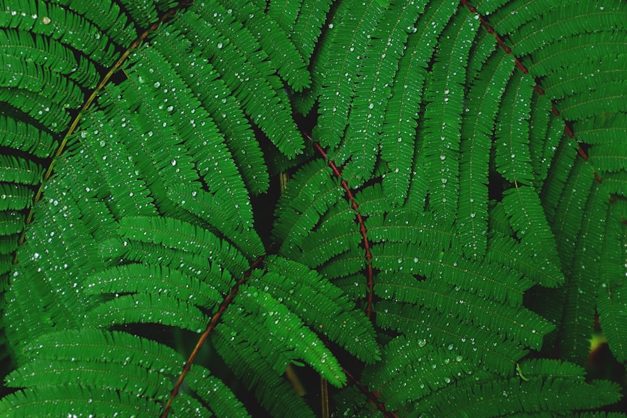 image 71